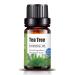 drdong-100% Pure and Natural Tea Tree Essential Oil Massage Diffuser Humidifier Hair and Skin Care