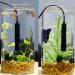 Dongker Mini Aquarium Heater 5W - USB 5V 2A Thermostat for 0.5-2L Fresh & Saltwater - 28 C Constant Temperature - Buy Online on GoSupps.com