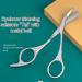 Browmaster Stainless Steel Trimmer Brow Master Stainless Steel Trimmer Jetset Essentials Eyebrow Scissors Eyebrow Scissors with Comb Eyebrow Trimming Scissors for Women Men (2PCS) - Buy Online on GoSupps.com