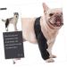 INOOMP Step in Dog Harness Dog Knee Cover Puppy Leg Cover Dog Leg Cover Dog Supplies Pet Injury Knee Puppy Brace Dog Knee Protectors Dog Knee Knee for Dogs M As Shown - Buy Online on GoSupps.com