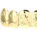 Hip Hop Teeth Decoration Special Designed for Upper Teeth Hip Hop Hollow Tooth Gold-plated Ion Plating for Concert for Home for Outdoor Activities for Party(gold) - Buy Online on GoSupps.com