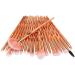 Makeup brushes 20 pieces of diamond makeup brush set Makeup brush set (Size : TransparentPurple) - Buy Online on GoSupps.com