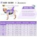 Buy Queenmore Dog Life Jacket - Adjustable High Buoyancy Ripstop Vest for Medium Dogs - XXL Purple Shark Design - Buy Online on GoSupps.com