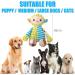 Plush Dog Toys for Small Dogs Squeaky Dog Toys for Puppy Sheep Puppy Teething Toys for Small Medium Dogs - Buy Online on GoSupps.com