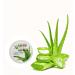 Shop Aloe Vera Body Cream with Vitamin E - Hydrating Vegan Skin Cream 200ml - Buy Online on GoSupps.com