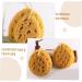 2pcs Honeycomb Bath Sponge Set | Exfoliating Shower Scrubber & Body Wash Supplies - International Shipping Available - Buy Online on GoSupps.com
