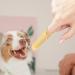 JISADER Pet Oral Care Finger Brush for Dogs and Cats - Gentle Tool Yellow - Buy Online on GoSupps.com