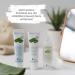 Buy Logona Bio 3in1 Cleaning Milk with Aloe Vera - Deep Clean & Hydrate for Normal to Dry Skin - Natural & Vegan - 100 ml - Buy Online on GoSupps.com