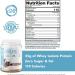 IsolateOne Whey Isolate Protein Powder by NutraOne â 100% Pure Whey Isolate Powder (Gourmet Chocolate - 2 lbs.) - Buy Online on GoSupps.com