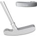 LEAGY Portable Golf Putter - Right and Two-Way Left Hand Options with 2 Balls | Ambidextrous Bag Included - Buy Online on GoSupps.com