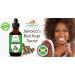 Tropical Holistic 100% Pure Jamaican Black Castor Oil 4 oz - Natural Hair Growth & Scalp Treatment for Beard, Eyelashes, Edges, Dandruff - Premium Formula for Healthy Hair & Eyebrows - Buy Online on GoSupps.com