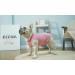 Sychien Combed Cotton Dog Shirt | Soft Cool Tee for Large Bulldogs | Pink & Rose Striped | XL Size - Buy Online on GoSupps.com