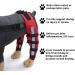 Dog Knee Brace Dog Double Rear Leg Brace with Metal Hinged Flexible Support and Reflective Seat Belts Dog Acl Brace Hind Leg|Red (S) - Buy Online on GoSupps.com