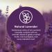 Clean Revolution Foaming Hand Soap Refill - Natural Lavender 128 Fl Oz (Pack of 1) - Buy Online on GoSupps.com