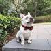 Pet Heroic Pet Dog Cat Collar with Grid Bow tie Adjustable Plaid Pet Dogs Cats Comfortable Durable Bowtie Collars for Small Medium Large Dogs Cats in 3 Styles M Red-grid - Buy Online on GoSupps.com