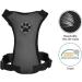 Buy Slowton Dog Harness with Seat Belt - Breathable Safety Harness for Puppies | Dark Gray S - International Shipping Available - Buy Online on GoSupps.com