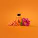 WONDER VALLEY Face Oil | Vegan & Cruelty-Free | Hydrates & Balances All Skin Types (1.7 fl oz) - International Shipping Available - Buy Online on GoSupps.com