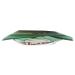 Bob's Red Mill Petite French Green Lentils - 24 Oz | High-Quality, Nutritious Legumes - Buy Online on GoSupps.com