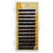 Shop Premium Mixed Black False Eyelashes & Eyebrow Extensions | 5-8mm Individual Enhancers for Perfect Look | Fast Worldwide Shipping - Buy Online on GoSupps.com