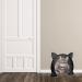 Cat Door Indoor Cat Door Pet Doors for Cats No-Flap Cat Door with Screws Fits Both Solid and Hollow Indoors Door (Black L) - Buy Online on GoSupps.com