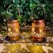Hummingbird Solar Lantern Lights Outdoor Hanging Metal Decor Lanterns-Waterproof LED Decorative Light for Garden Patio Yard Lawn Backyard Front Porch as Gifts for Mom Grandma Women (Hummingbird 2)