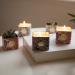 Shop La Jol e Muse Fragrance Candle Set | Perfect Christmas Gift for Women - Jasmine Lemon Melon Apple Natural Wax 3 x 110g 30 Hours Burn Time - Buy Online on GoSupps.com