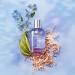 Victorinox Swiss Army Forget Me Not EDT Spray Women 3.4 oz - Buy Online on GoSupps.com