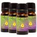 Allergy Trio Essential Oil Blend 100% Pure & Natural Aromatherapy (4)