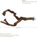 Natural Wild Grape Parrot Perch Stand for Parakeet, Budgies, Lovebirds - Style 1 - Buy Online on GoSupps.com