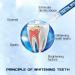 Teeth Whitening Pen - 4 Pack, 70 Treatments, No Sensitivity, Fast Results, Enamel Safe - Buy Online on GoSupps.com