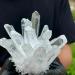 for White Cluster Quartz Crystal Specimen Point gem PINGJIUYIN Crystal Cluster 1pc White - Buy Online on GoSupps.com