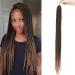 Sego crochet braids braid extensions afro twist crochet braid synthetic hair extensions hair part 24 strands/pack natural black & light brown