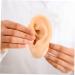 NOLITOY Silicone Ear Model Prank Props - Realistic Ear Mold Earrings & Earplugs for Fun Decor - Buy Online on GoSupps.com