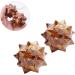 Fomiyes 1stk Acupressure Massage Ball - Yoga & Trigger Point Muscle Massage Device | International Shipping Available - Buy Online on GoSupps.com