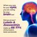 AFC Japan Ultimate Vision 4X - Improved, Up-Sized Eye Formula with Lutein 4X, Zeaxanthin, Bilberry Extract and Vitamins for Age-Related Eye Problem, Blurry & Poor Vision, Dry Eye, Macular Health 45s - Buy Online on GoSupps.com