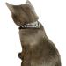 Buy Stylish Black Paisley Cat Collar with Bandana & Buckle - Size S (20-26cm) - International Shipping Available - Buy Online on GoSupps.com