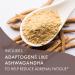 Adrenal Stability by Pure Essence - Adrenal Fatigue Supplement with Ashwagandha, Holy Basil, Supports Healthy Stress Response, Energy, Sleep (30 Caps) 1 Count (Pack of 30) - Buy Online on GoSupps.com