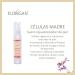 Rejuvenating Face Serum "Celulas Madre" Florigan 60ml. - Buy Online on GoSupps.com