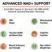 Liposomal NAD+ with TMG | 750mg 60 Softgels | Actual NAD+ Supplement & Nicotinamide Riboside Alternative - Buy Now! - Buy Online on GoSupps.com