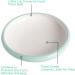 ComSaf Ceramic Cat Feeding Bowl Wide Shallow Cat Food Water Dish Whisker Friendly Design Whisker Fatigue Free shallow cat bowl Non Spill Pet Bowl 300ML Pack of 2 Green Green*2 - Buy Online on GoSupps.com
