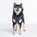 Pawaii Dog Harness for Small Dogs - Adjustable Breathable & Anti-Pull - Reflective Design - Perfect Fit (Chest: 43cm-55cm) - Davys Gray - Buy Online on GoSupps.com