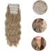 Ipetboom Hair Extension Set of Four Natural Hair Wigs Light Brown Hair Extensions Gabor Wigs for Women Curly Wig Women Hairpiece Wavy Wig Miss Curls High Temperature Wire Pad Hair - Buy Online on GoSupps.com