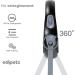 Edipets Retractable Dog Leash - 5m Flexible Band for Dogs up to 50kg | Adjustable Length Durable Design for Convenient Walks - Buy Online on GoSupps.com