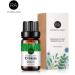 Cypress Essential Oil 100% Pure | Therapeutic Grade Aromatherapy Oil for Diffuser | 10ML - International Shipping Available - Buy Online on GoSupps.com