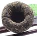 100g Aged Raw Puer Tea Green Tea Shen Puerh Tea Tuo with Tin Can Pack - Buy Online on GoSupps.com