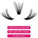 Individual Cluster Lashes Extensions 40C 0.07 D Curl Mixed Trays 200Pcs - DIY Eyelash Extensions at Home - Buy Online on GoSupps.com