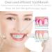 4PCS Mini Travel Toothbrushes - Folding, Non-Electric, Gums-Friendly - Ideal for Travel, Camping, School, Home - 3.9 Inch (Pack of 4) - Buy Online on GoSupps.com