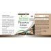 Fairvital | Oyster mushroom extract 500mg VEGAN - Highly dosed - 90 capsules - mushroom extract standardized to polysaccharides 30% - Buy Online on GoSupps.com