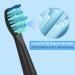 6 Pack Black Electric Toothbrush Replacement Heads for Fairywill FW-D1/D3/D7/D8- Compatible with FW-507/508/551/908/910/917/949/958/959/610/659/719 - Buy Online on GoSupps.com