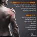 PRIMALL Orthopedic Shoulder Brace for Men and Women - Compression Sleeve for Rotator Cuff Injuries - Shoulder Support Wrap for Pain Relief - Large/X-Large - Buy Online on GoSupps.com